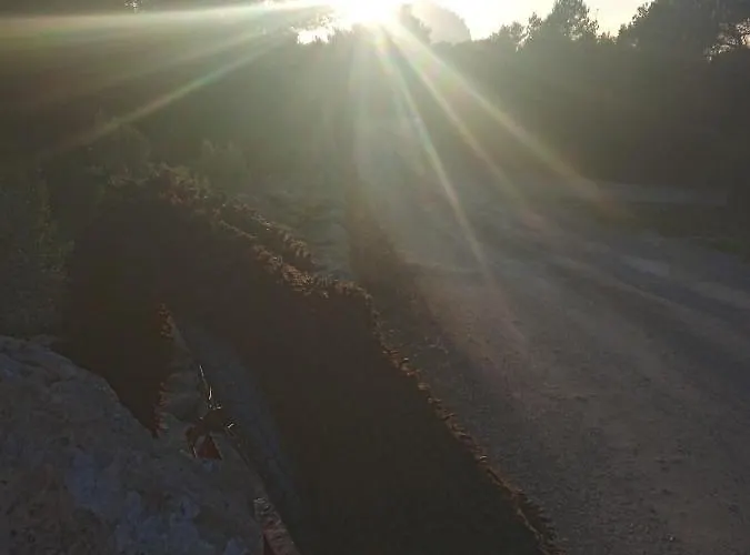 Pirats Des Vedra