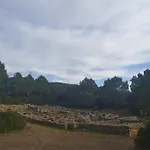 Pirats Des Vedra